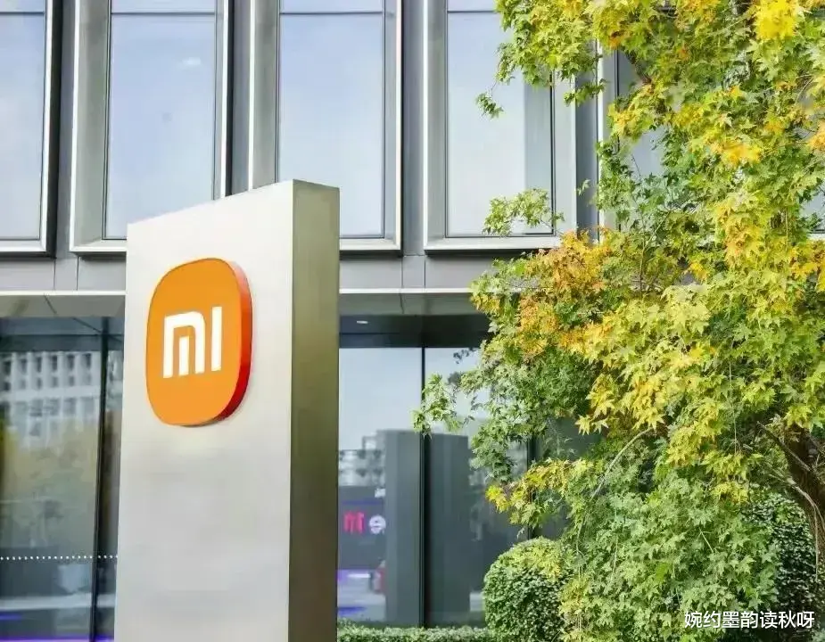 算法|突发!印度扣押小米48亿元资产,美国抢劫俄罗斯之风在蔓延? 必须坚决扼杀!