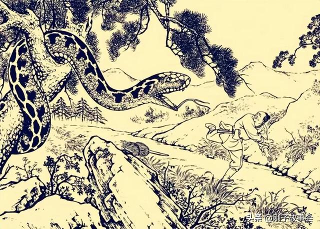 梦游蛇影，青白大蟒、乌龟与小猫的神秘寓言——深度解析你的梦境