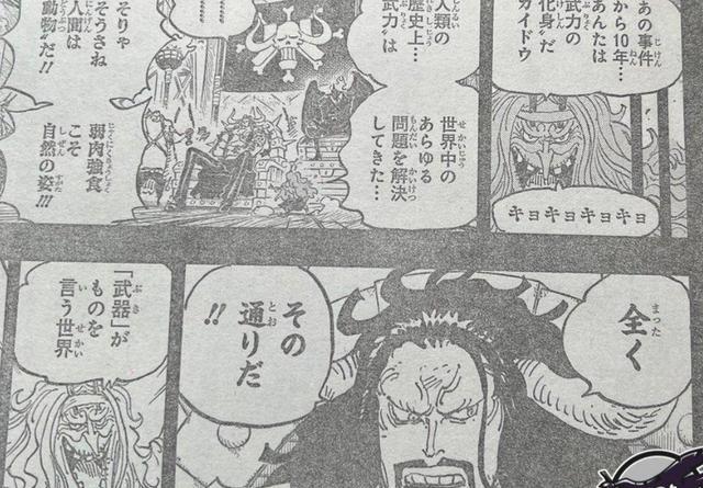 acgn漫评|海贼王1049话图透：揭秘凯多成长发迹史为了蹭牢饭主动被海军抓