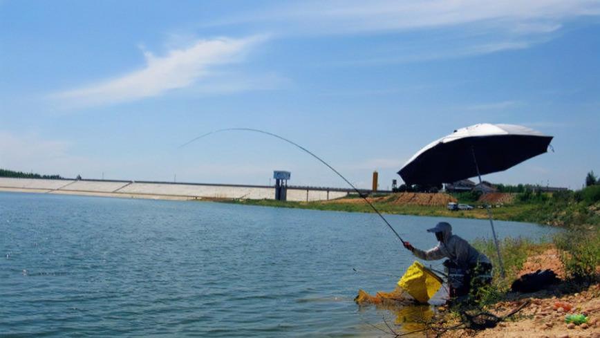 |渔乐杂谈：夏季钓鱼22问之篇5（夏季钓鱼钓深水好还是浅水好？）