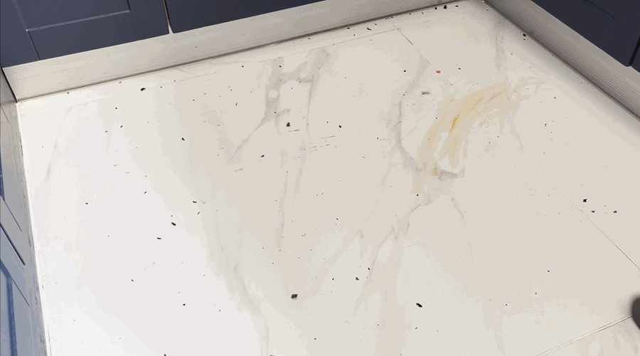 美丽|再入一台洗地机，性价比之选——万摩尔S22洗地机