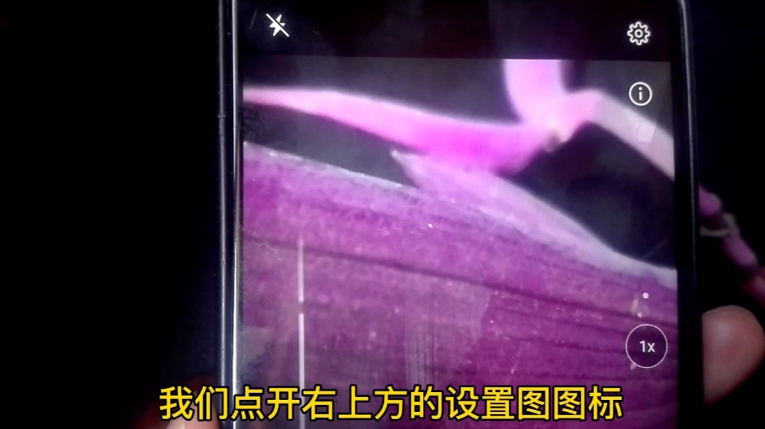 |手机相机隐藏了三个实用功能!打开它,拍出的视频更清晰