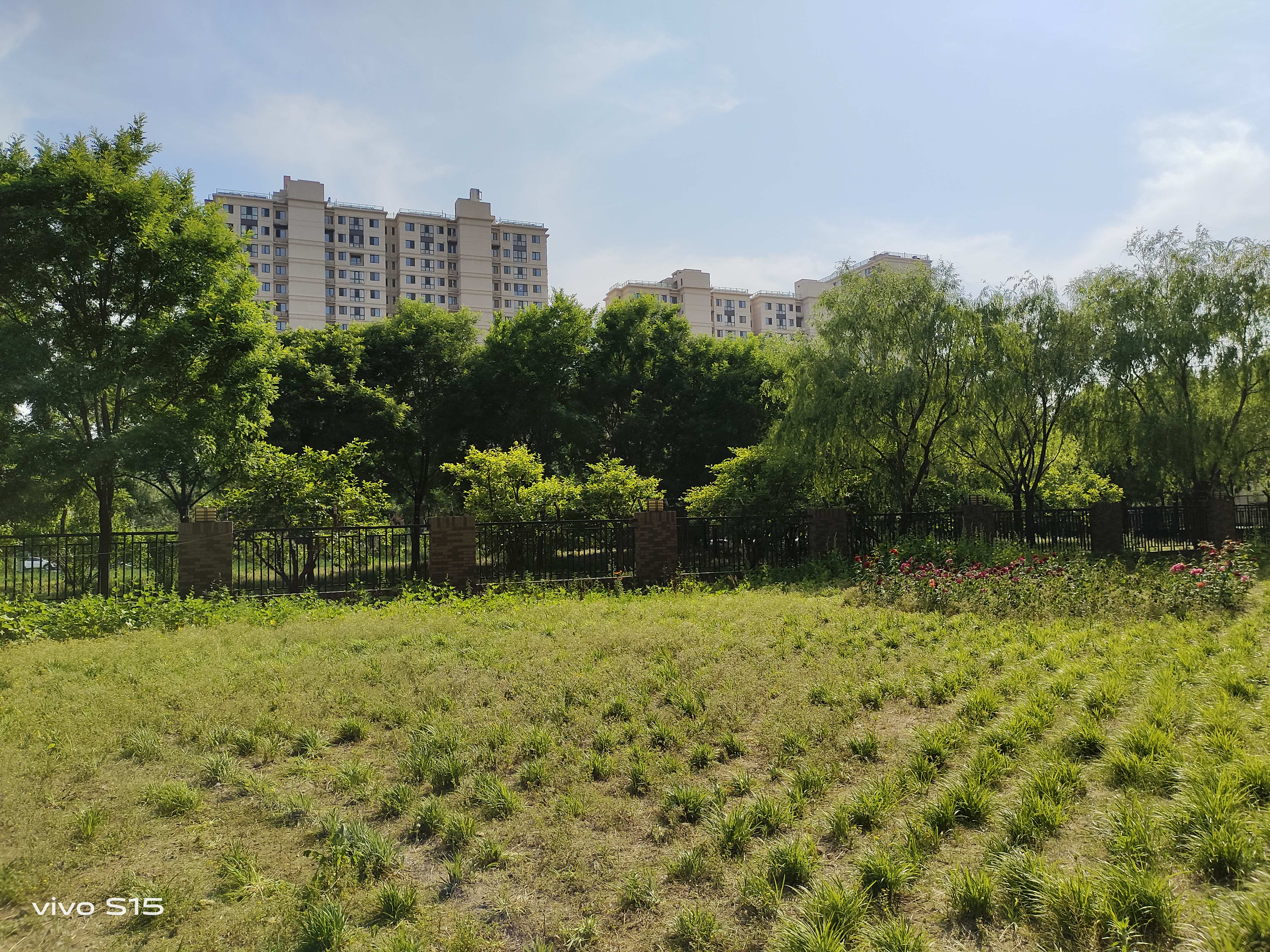 摄像头|vivo S15评测：迈进盛夏走向巅峰，影像配置哪哪都好