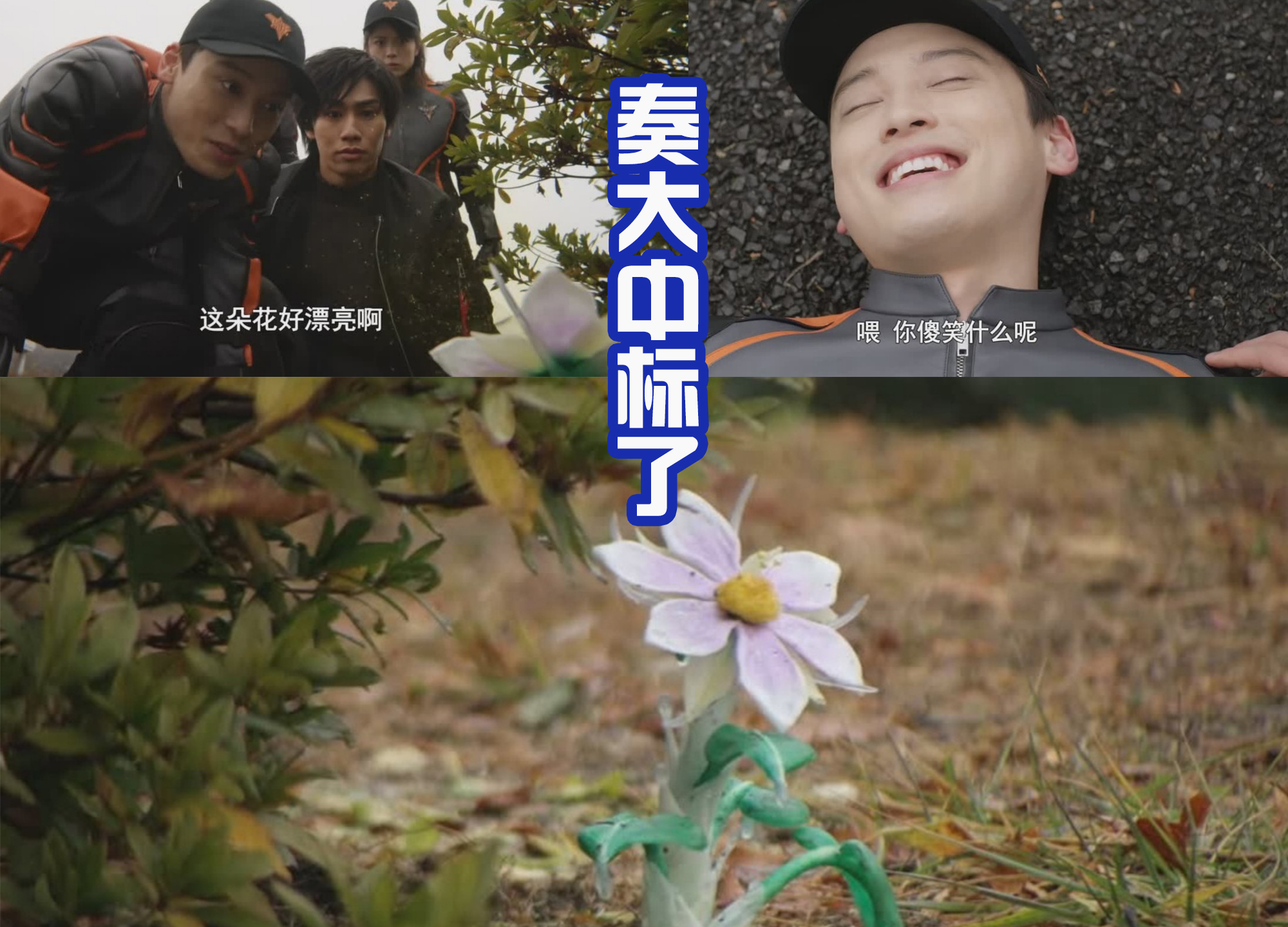 索隆|奏大最大的梦想就是卖煎饼，队长要买1000袋，真这么好吃吗？