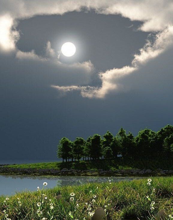 学会在事实面前思考真相，是你所能学会的最严格和最困难的