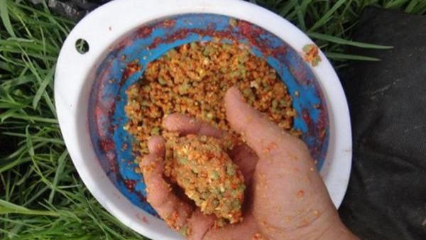 |鱼窝冒泡，就是不上鱼，哪个环节出问题啦？