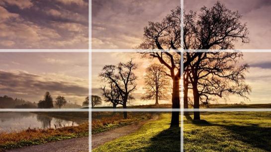 这篇内容告诉你，摄影中比较好的构图技巧，助你拍出好照片！