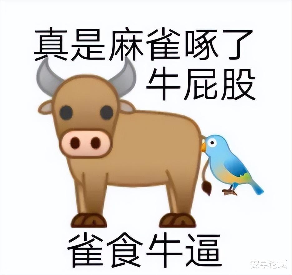 空调|接下来,国产安卓都得学它