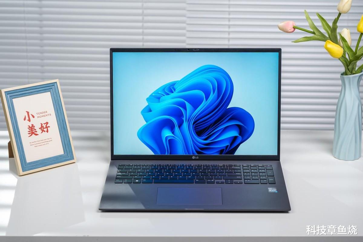 LG|轻薄商务本标杆再升级,LG gram 17表现依旧亮眼
