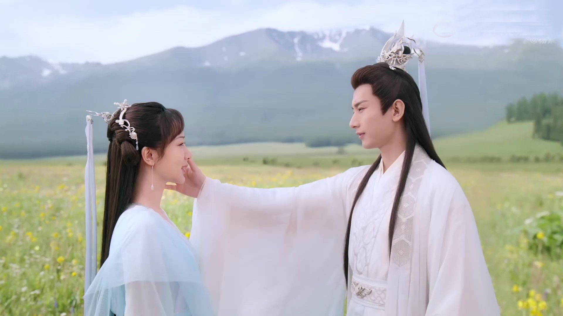 杨紫|杨紫被网友爆料，在《沉香如屑》中加戏，这根本就是不可信的谣言