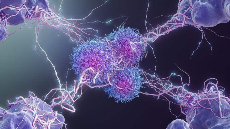 槐花|抗癌10年经验分享，这个“方子”让我痊愈绝非偶然