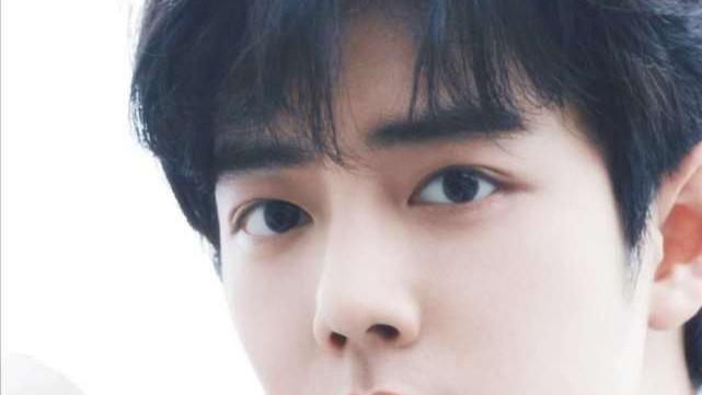 肖战|从小透明到顶流男星，肖战如何逆风翻盘？一路走来，太心疼