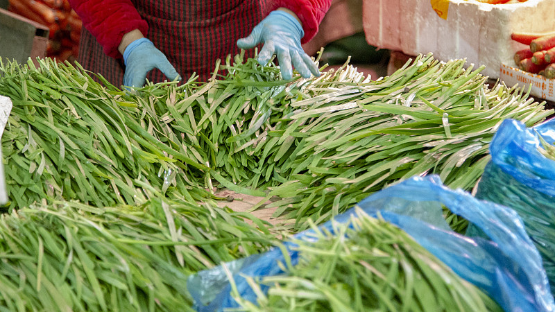 同样是韭菜，宽叶和窄叶有啥区别？老菜农：区别很大，别再买错了