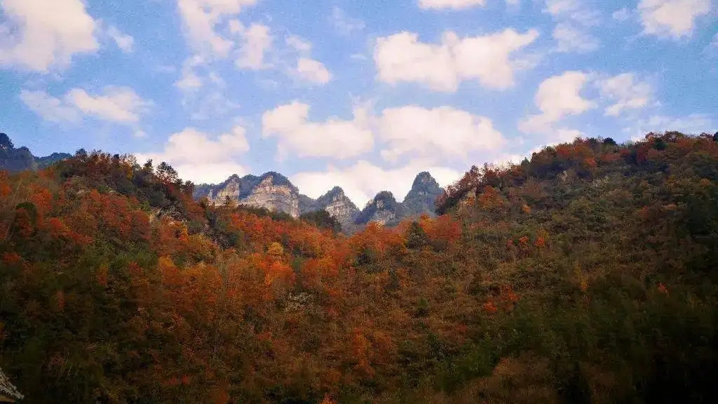 四川省|四川一座集秀峰怪石、峭壁幽谷、溪流瀑潭、原始山林于一体的山