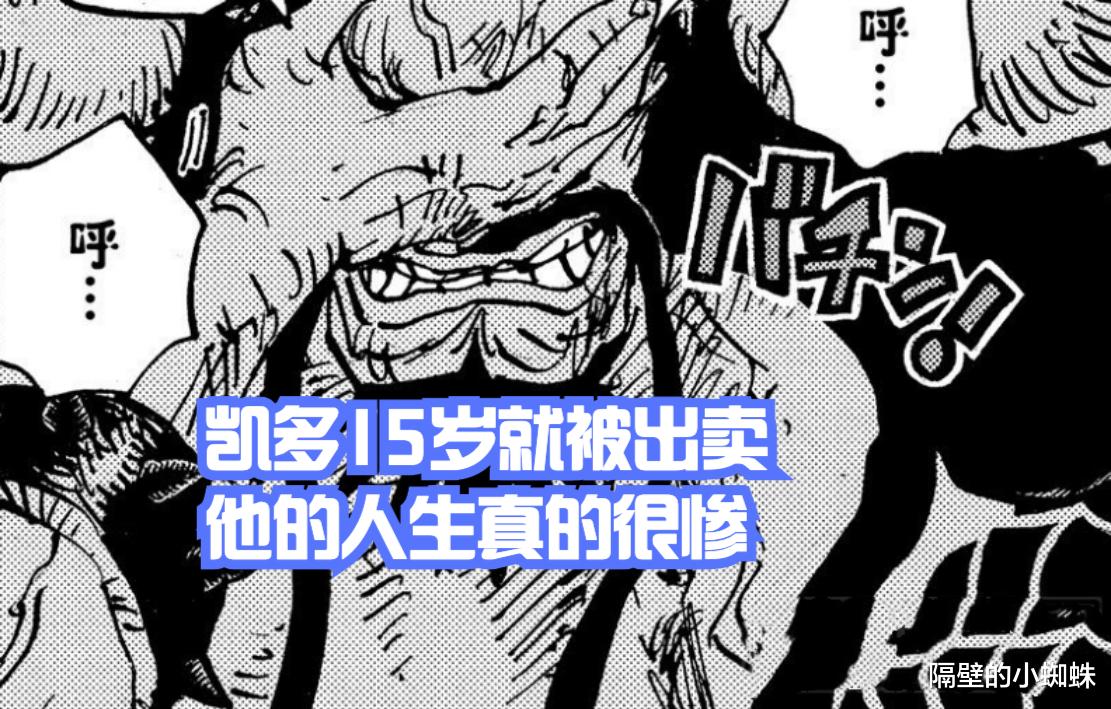 凯多|海贼王1049话，遭到背叛的凯多与洛克斯团的秘密，和之国战争落幕