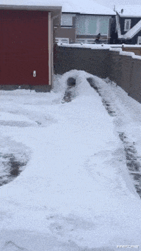 小米科技|“路由器上邦电池，信号特别强！”网友：宇航员都问我要密码！