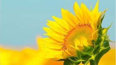 穿衣搭配|当前环境下，如何肯定自己