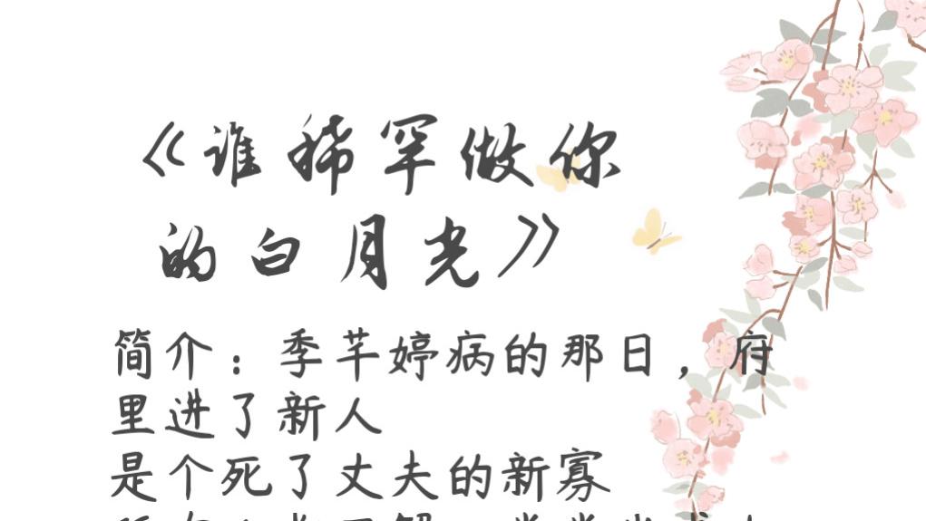 古言架空小甜文——《谁稀罕做你的白月光》
