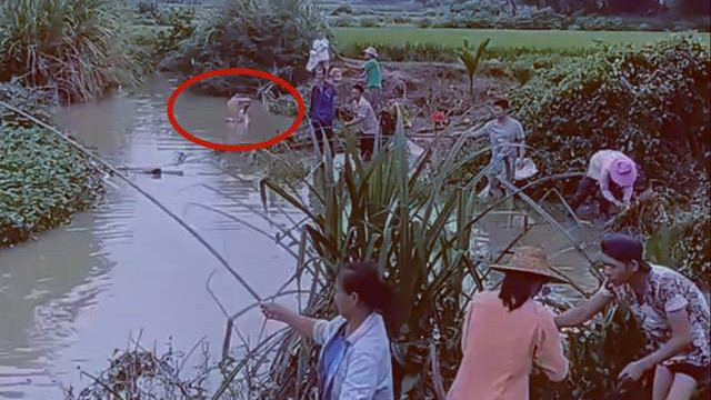 钓鱼|大雨后小河沟成天然黑坑，成百上千的人前来钓鱼，网友：太疯狂了