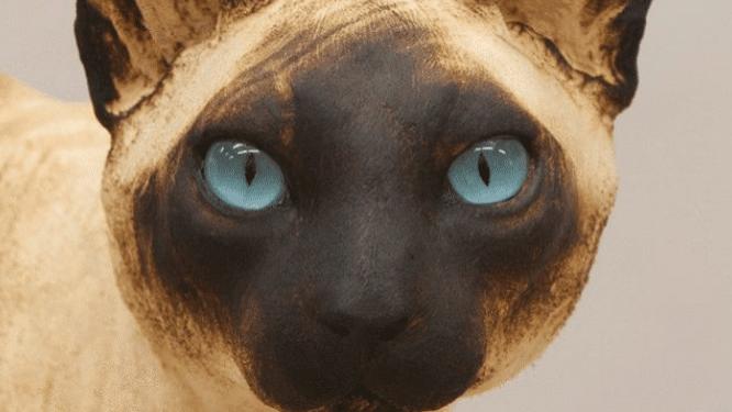 雕刻|72岁网红雕刻师卢正义，曾被央视点名表扬，如今被曝机雕造假