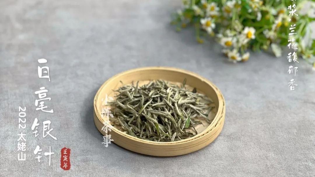 寿眉|不是说白茶越陈越香吗？那些越存越烂的白毫银针，藏着什么猫腻？