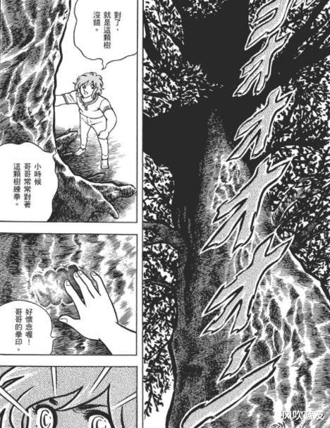 传统文化|《圣斗士星矢》中的仙女座瞬是如何从甩锅铁链侠变成女装大佬的？