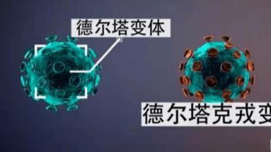 长寿|为什么“阳了”？奥密克戎给过5次机会，可惜1次也没抓住