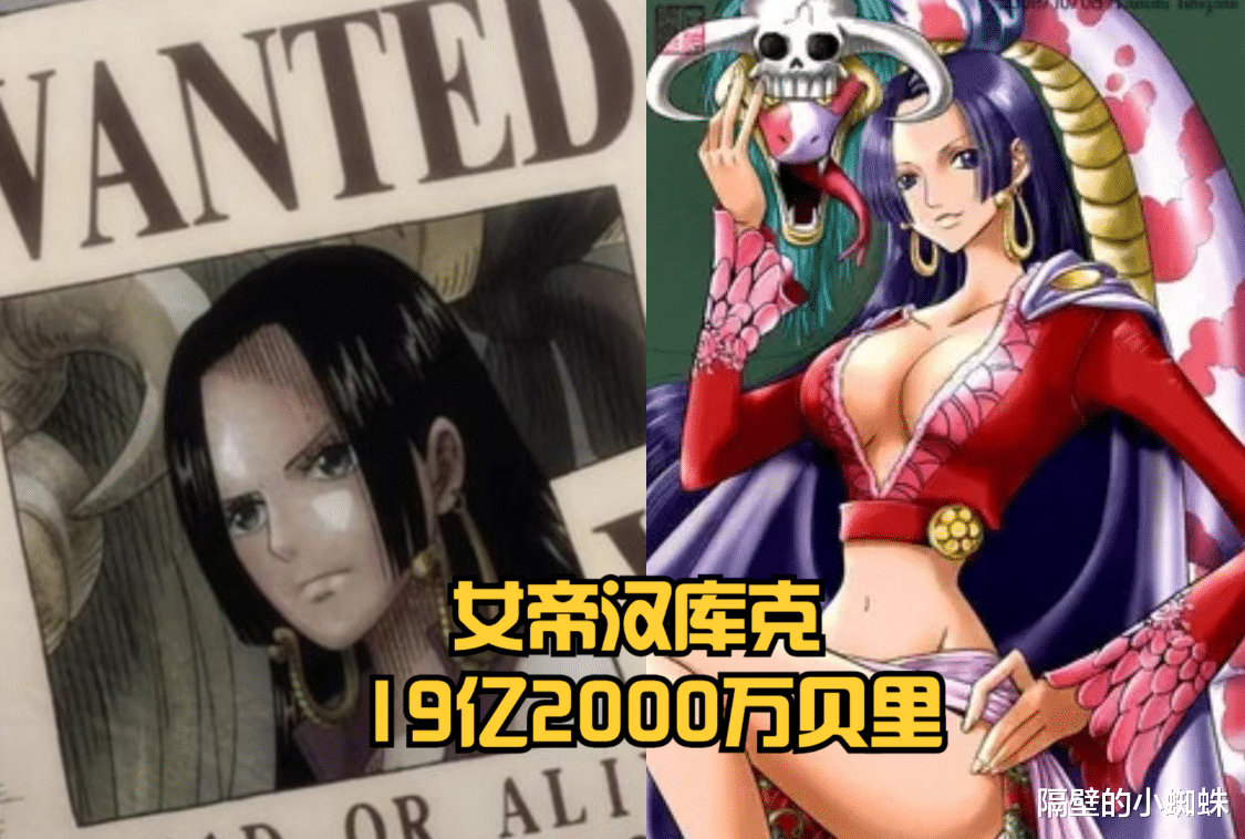 蜘蛛|海贼王：七武海悬赏金预测！威布尔20.8亿，明哥19.4亿，大熊不变