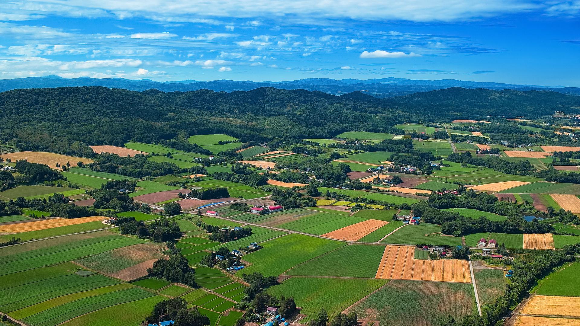 政策性银行|乡村振兴下，衍生出的热门职业