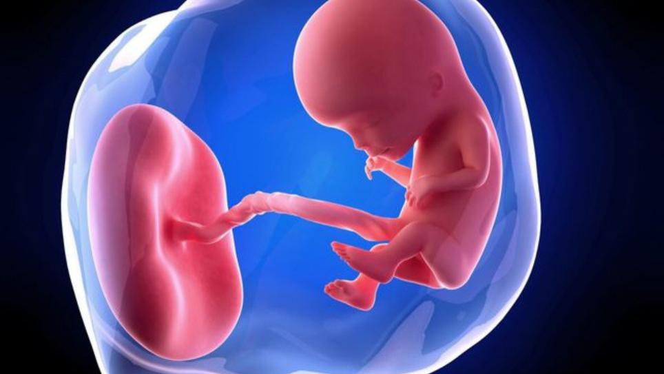 科学家在人类胎盘发现微塑料颗粒，婴儿可能被污染