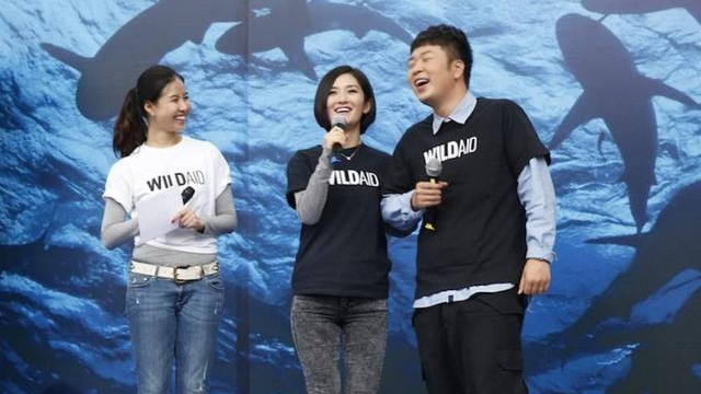 iu|谢娜祝福杜海涛结婚，却被质疑买热搜，再次引发网友热议