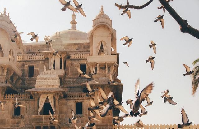 印度|1982年,中国GDP只比印度多44亿美元,那现在相差有多少?