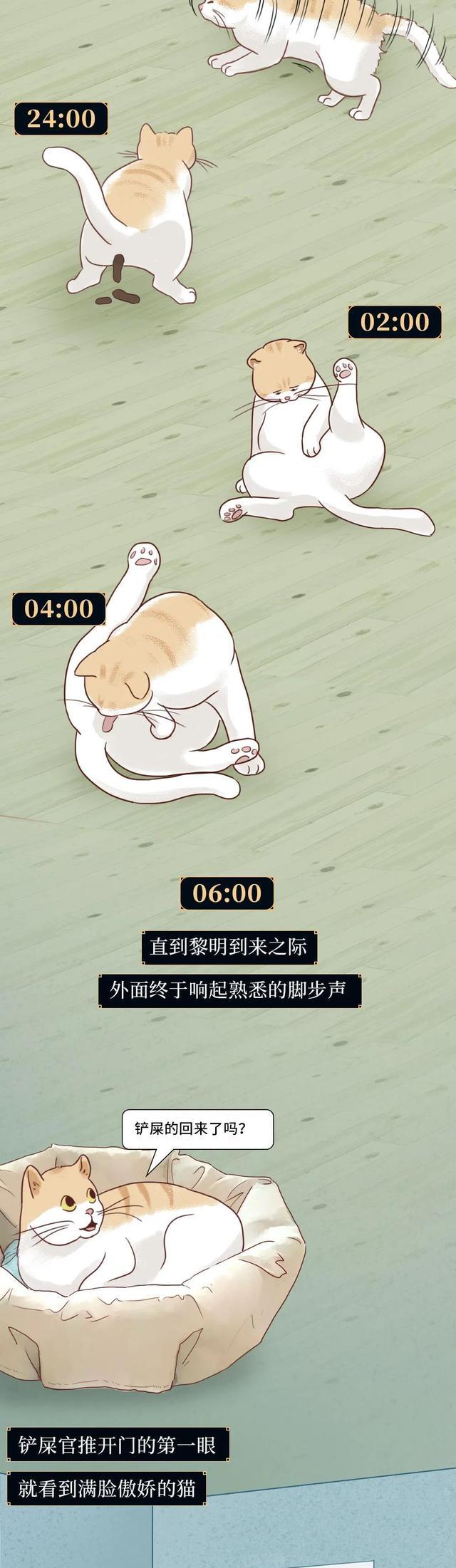 acgn漫评|一只猫在家的24小时:原来会做这些事,看完或颠覆三观(漫画)