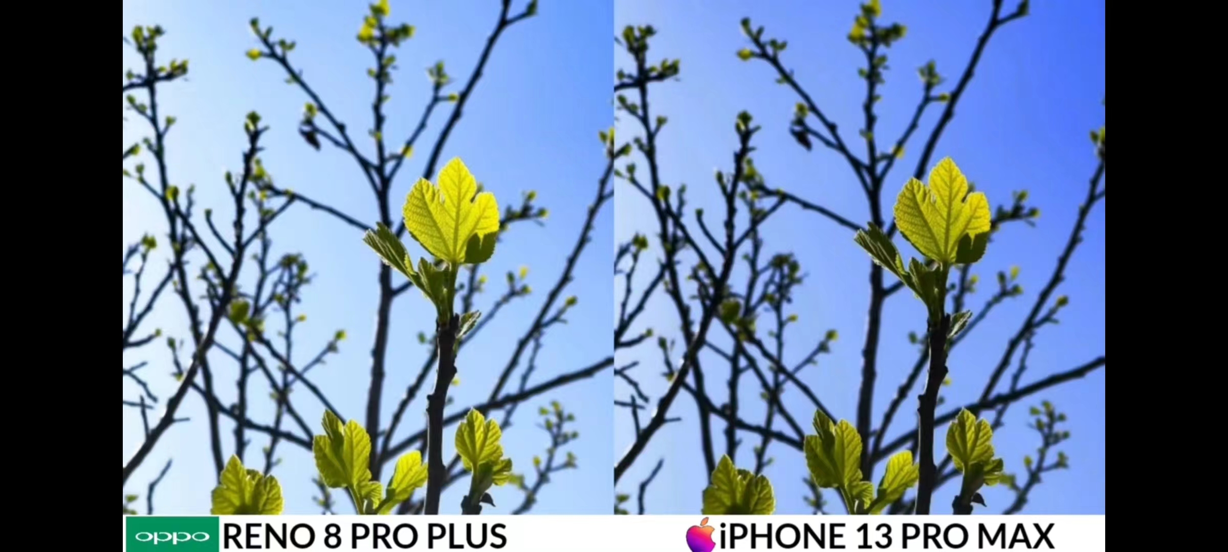 iPhone|这年头怎么是个手机都敢“碰瓷”iPhone 13 Pro Max?