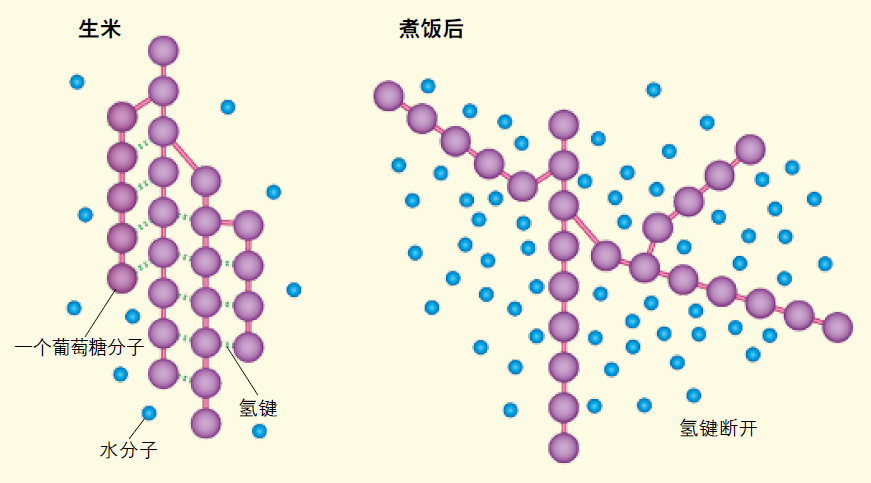 游戏手机|物有所值还是智商税?苏泊尔远红外电饭煲真实测评