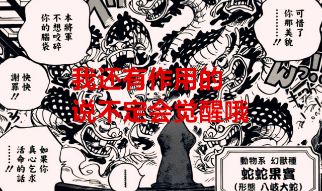 路飞|海贼王1047话:大蛇又复活了,他可能面临觉醒,凯多嘴炮路飞