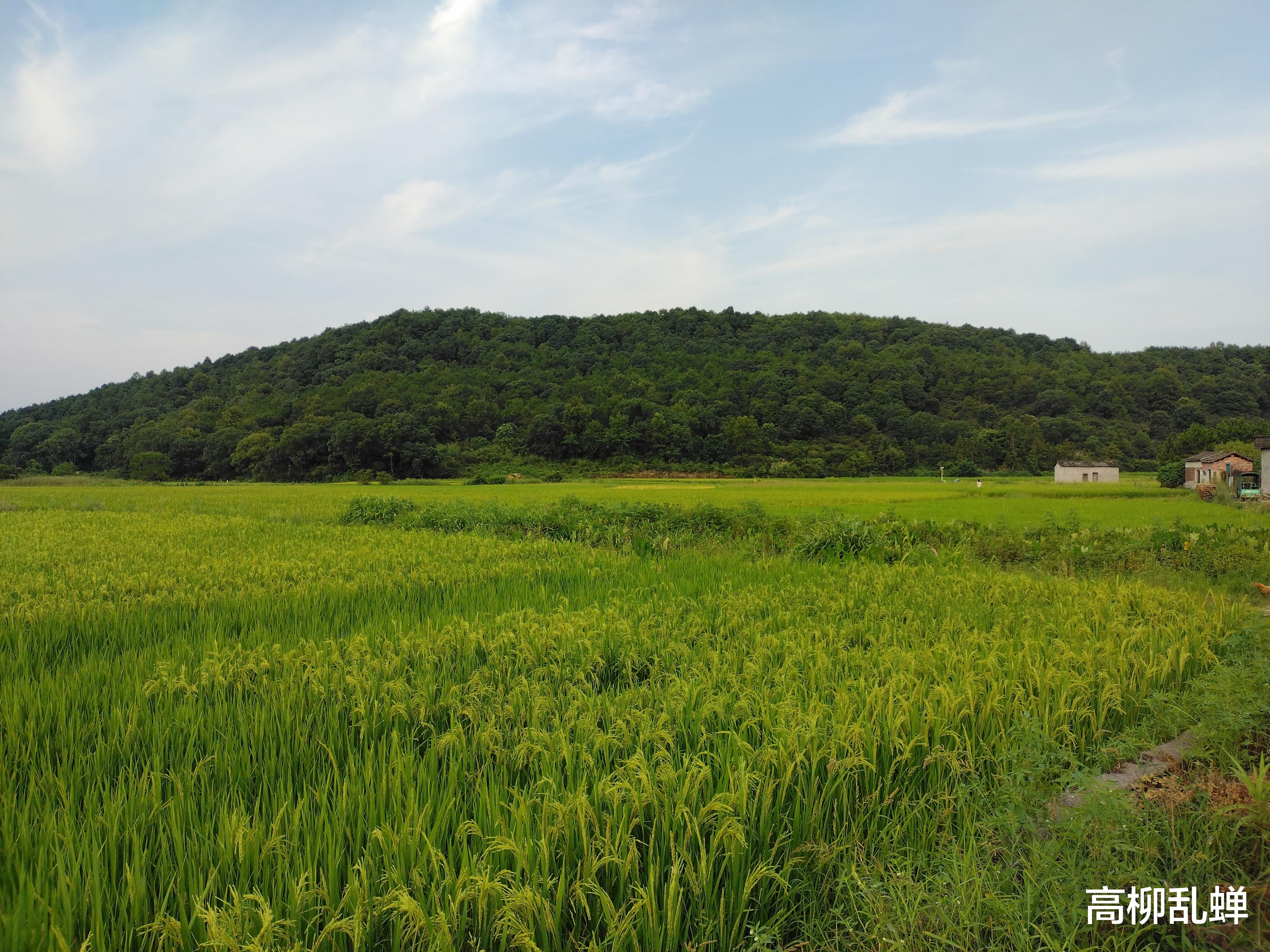 三防手机|买手机,把热成像仪的钱都省了?AGM G1S Pro三防手机多维测评