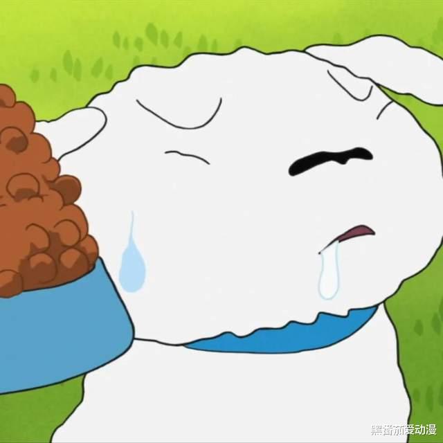 蕾姆|那些配角戏份镜头感赶超主角的人