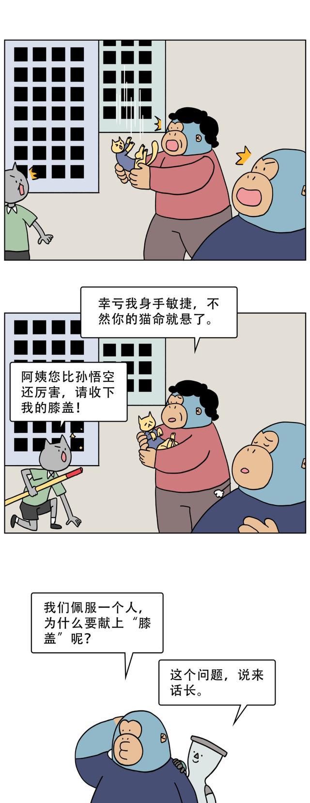 漫画|为什么人类要用“跪下”来表达崇拜？一组漫画告诉你答案