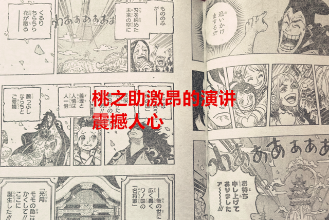 海贼王|海贼王1051话：逆袭！成年后的桃之助帅哭，凯多大妈正式拉下帷幕