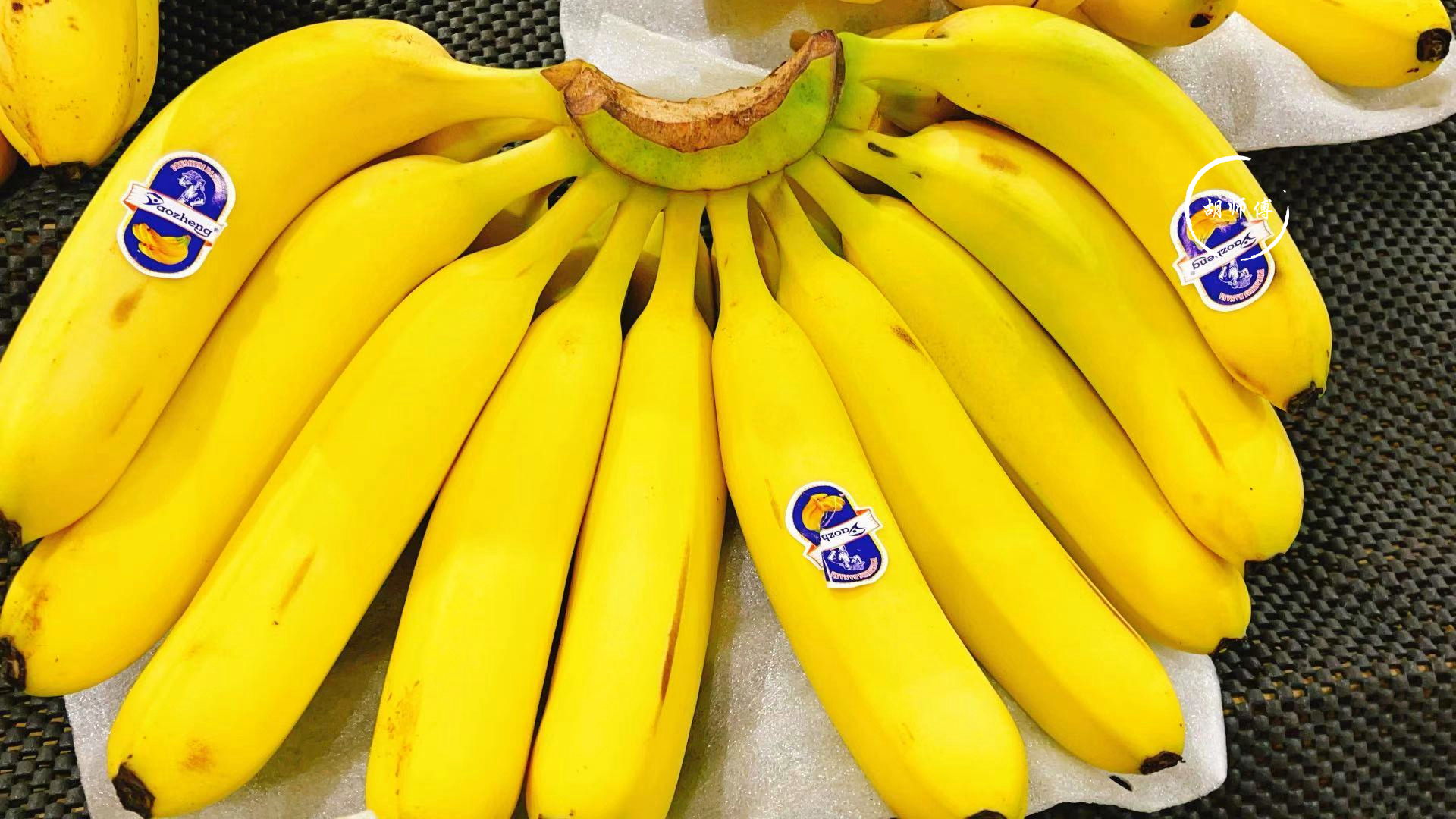 香蕉|买香蕉：挑“直的”还是“弯的”？老果农透露：差别很大，别乱买