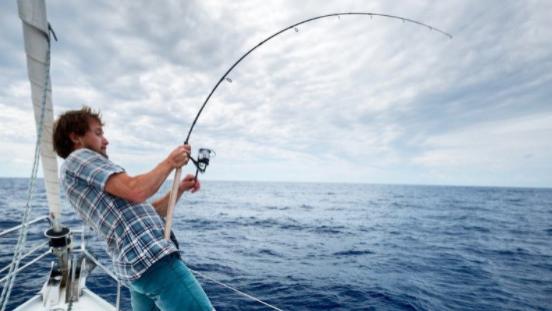 |为什么说选择水生植物繁茂的钓点，更有利于垂钓者施钓？