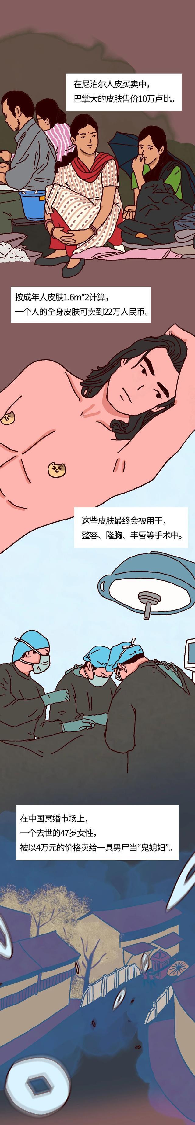 黑市|你的尸体，在“黑市”值多少钱？（漫画科普）生命怎能明码标价？