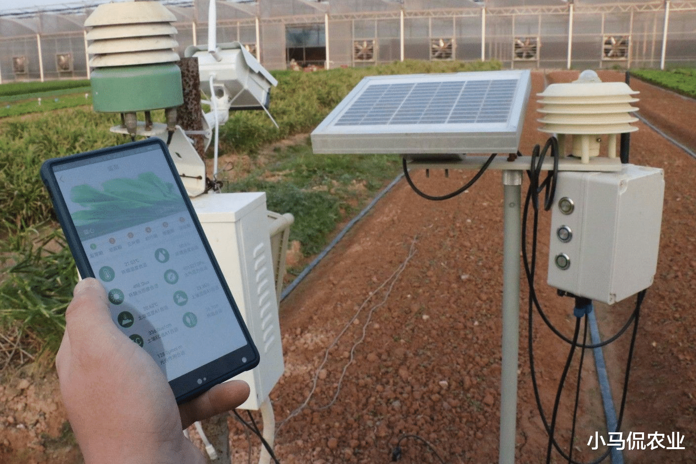 荣耀|国产智能大棚总成本比国外低80%，一部手机无人管理，效益提升8倍