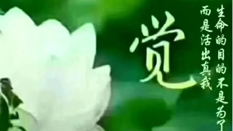 |火土两旺的女命