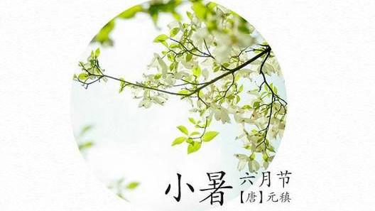 失眠|今日小暑，宜“春夏养阳”