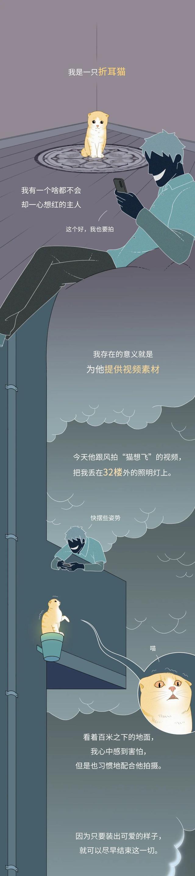 |熱搜上的“網紅寵物”，背后藏著多少虐待與凌辱？一組漫畫科普！