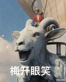 鹰眼|海贼王真人版：7位新演员公布！哲普太像了，诺琪高居然是黑人