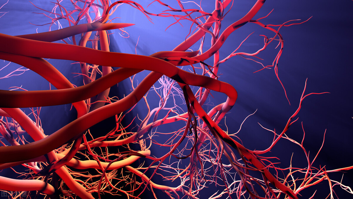 蛋白质|血不通，因为有痰，张仲景名方，祛痰通血管，养好心脏，人不老