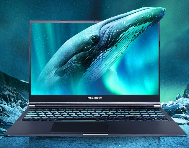 笔记本|国产笔记本秀肌肉，i5-12500H本3999元，i7-12700H独显本5799元